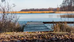 Przedwiośnie na przystani Leśny Zakątek, jezioro Mamry, marzec 2025 r. - zdjęcie 17