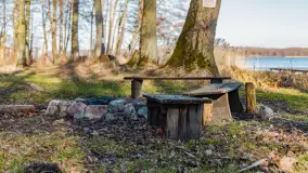 Przedwiośnie na przystani Leśny Zakątek, jezioro Mamry, marzec 2025 r. - zdjęcie 7