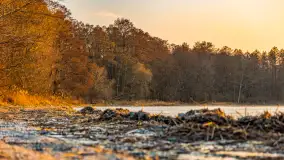 Zachód słońca na Fuledzie, jezioro Dobskie, marzec 2025 r. - zdjęcie 19