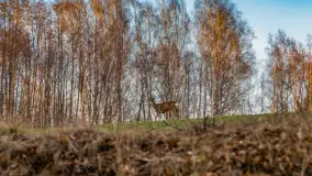 Zachód słońca na Fuledzie, jezioro Dobskie, marzec 2025 r. - zdjęcie 22