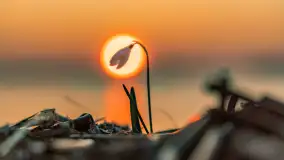 Zachód słońca na Fuledzie, jezioro Dobskie, marzec 2025 r. - zdjęcie 35