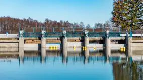 Jaz w Kwiku, marzec 2025r. - zdjęcie 17