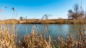 Jaz w Kwiku, marzec 2025r. - zdjęcie 21