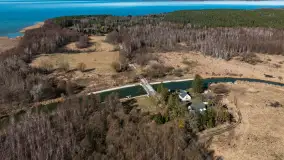 Jaz w Kwiku, marzec 2025r. - zdjęcie 23