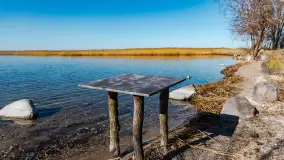 Półwysep Szeroki Ostrów, marzec 2025r. - zdjęcie 7