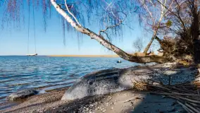 Półwysep Szeroki Ostrów, marzec 2025r. - zdjęcie 11