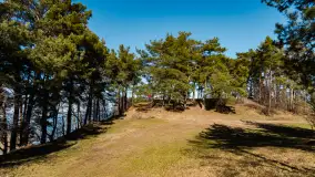 Półwysep Szeroki Ostrów, marzec 2025r. - zdjęcie 15