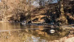 Półwysep Szeroki Ostrów, marzec 2025r. - zdjęcie 18