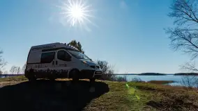 Półwysep Szeroki Ostrów, marzec 2025r. - zdjęcie 39