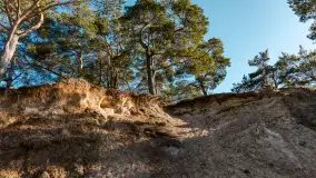 Półwysep Szeroki Ostrów, marzec 2025r. - zdjęcie 31