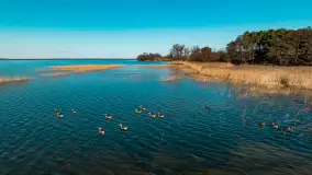 Półwysep Szeroki Ostrów, marzec 2025r. - zdjęcie 48