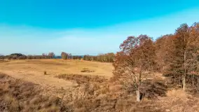 Półwysep Szeroki Ostrów, marzec 2025r. - zdjęcie 53