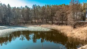 Plaża w Kleszczewie i jezioro Wojnowo, marzec 2025 r. - zdjęcie 13