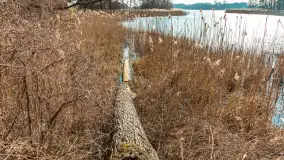 Plaża w Kleszczewie i jezioro Wojnowo, marzec 2025 r. - zdjęcie 34