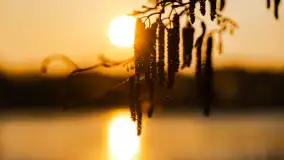 Zachód słońca w porcie Ognisty Ptak, marzec 2025r. - zdjęcie 22