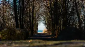 Pole biwakowe nad jeziorem Śniardwy. Okartowo, marze  2025r. - zdjęcie 3