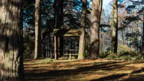 Pole biwakowe nad jeziorem Śniardwy. Okartowo, marze  2025r. - zdjęcie 17