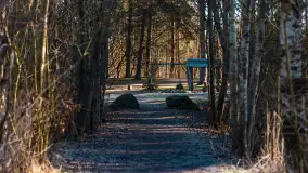 Pole biwakowe nad jeziorem Śniardwy. Okartowo, marze  2025r. - zdjęcie 19