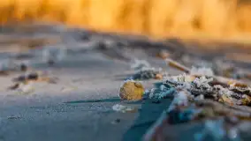 Pole biwakowe nad jeziorem Śniardwy. Okartowo, marze  2025r. - zdjęcie 5