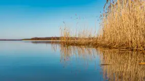 Pole biwakowe nad jeziorem Śniardwy. Okartowo, marze  2025r. - zdjęcie 32