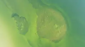 Pole biwakowe nad jeziorem Śniardwy. Okartowo, marze  2025r. - zdjęcie 41