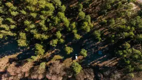 Pole biwakowe nad jeziorem Śniardwy. Okartowo, marze  2025r. - zdjęcie 33