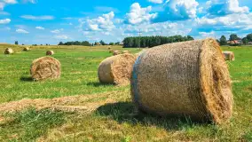 Mix ujęć z sezonu 2024 Michała cz. I - zdjęcie 16