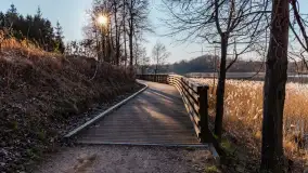 Słoneczny Ryn pod koniec marca - zdjęcie 44