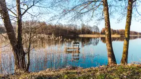 Słoneczny Ryn pod koniec marca - zdjęcie 50