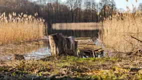 Słoneczny Ryn pod koniec marca - zdjęcie 34