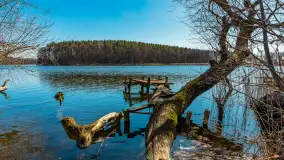 Wiosna w Mrągowie, końcówka marca 2023 r. - zdjęcie 56