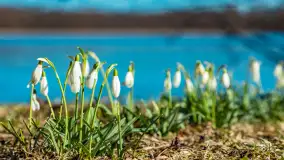 Wiosna w Mrągowie, końcówka marca 2023 r. - zdjęcie 9