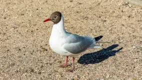 Wiosna w Mrągowie, końcówka marca 2023 r. - zdjęcie 80