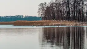 Kanał Grunwaldzki i szukanie wiosny przed sezonem 2025 - zdjęcie 16