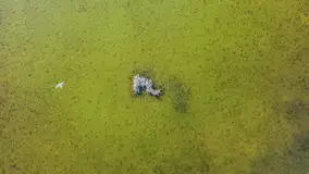 Kanał Grunwaldzki i szukanie wiosny przed sezonem 2025 - zdjęcie 38