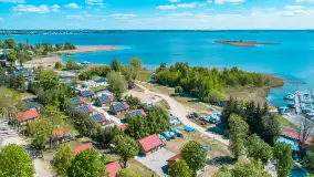 Wilkasy z lotu ptaka w wiosennej scenerii, maj 2025 r. - zdjęcie 15