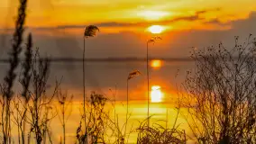 Zachód słońca nad jeziorem Niegocin, Bystry, dzika plaża, kwiecień 2025 - zdjęcie 12