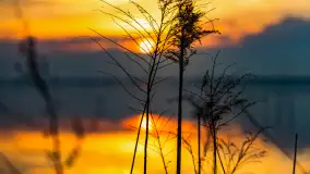 Zachód słońca nad jeziorem Niegocin, Bystry, dzika plaża, kwiecień 2025 - zdjęcie 4