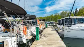 Łabędzi Ostrów i jezioro Kisajno przed Majówką - zdjęcie 8