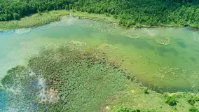 Jezioro Harsz położone blisko północnych szlaków WJM z drona - zdjęcie 19