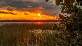 Wietrzny ale jednak zachód słońca w Ogonkach, czerwiec 2025 r. - zdjęcie 16