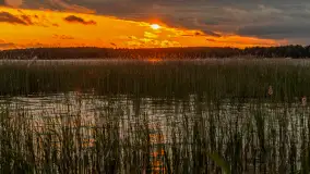 Wietrzny ale jednak zachód słońca w Ogonkach, czerwiec 2025 r. - zdjęcie 12