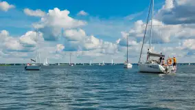 Jezioro Niegocin widziane z Wilkas, lipiec 2025 r. - zdjęcie 3