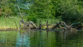 Popołudniowy spływ na Krutyni, sierpień 2025 r. - zdjęcie 54