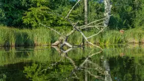 Popołudniowy spływ na Krutyni, sierpień 2025 r. - zdjęcie 45