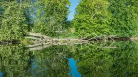 Popołudniowy spływ na Krutyni, sierpień 2025 r. - zdjęcie 51