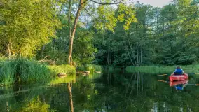 Popołudniowy spływ na Krutyni, sierpień 2025 r. - zdjęcie 47