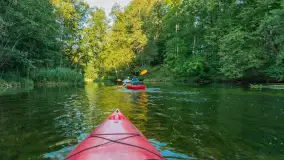 Popołudniowy spływ na Krutyni, sierpień 2025 r. - zdjęcie 63