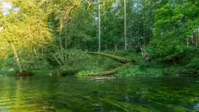 Popołudniowy spływ na Krutyni, sierpień 2025 r. - zdjęcie 67