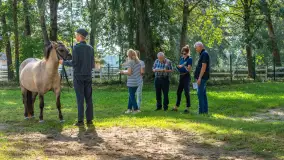Fotorelacja - 70 lat konika polskiego w Popielnie – jubileuszowe spotkanie - zdjęcie 19